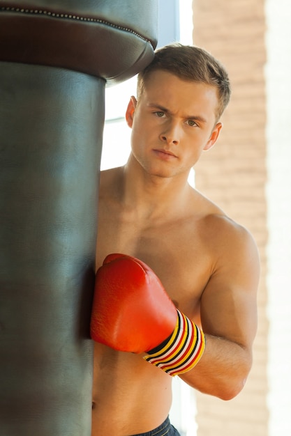 Né pour se battre. Jeune boxeur confiant dans des gants de sport se penchant sur le sac de boxe et regardant la caméra