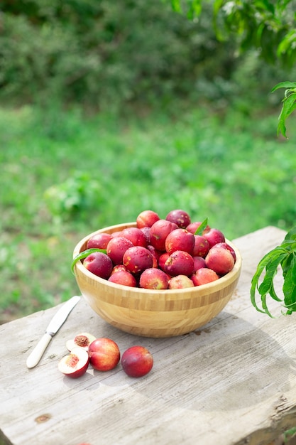 nectarines juteuses mûres dans un bol en bois sur une table en bois dans le jardin avec un couteau de style rustique