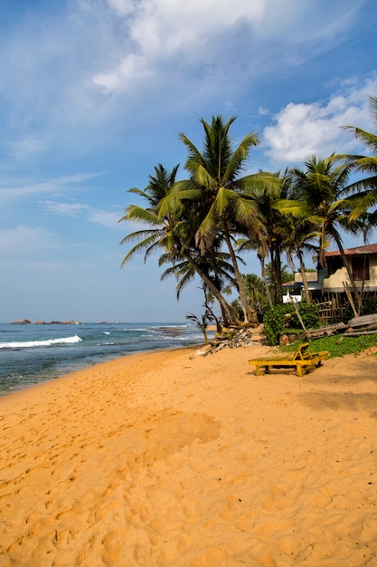 Negombo, Sri Lanka