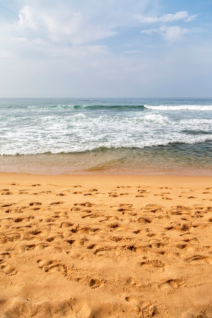 Negombo, Sri Lanka