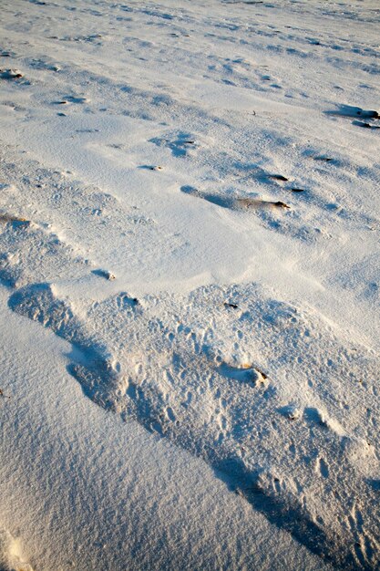 Neige après les chutes de neige en hiver