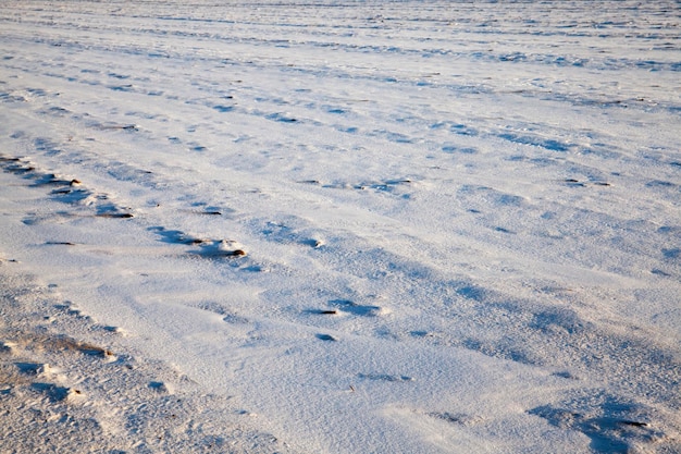 Neige après les chutes de neige en hiver