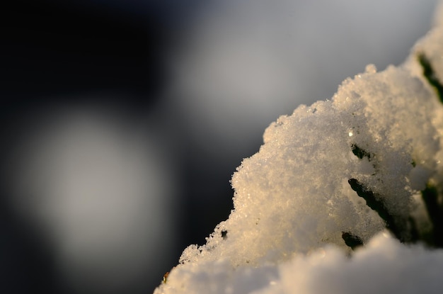 Photo neige au soleil