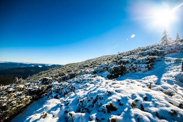 Neige au sommet de la montagne