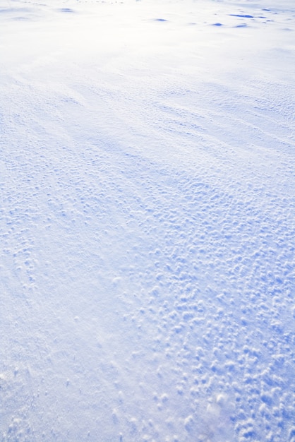 Neige blanche dans le milieu naturel