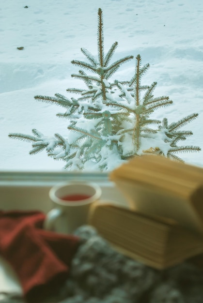 Neige devant la fenêtre et livre ouvert