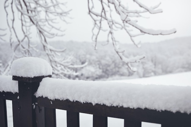 Neige de fond d'hiver