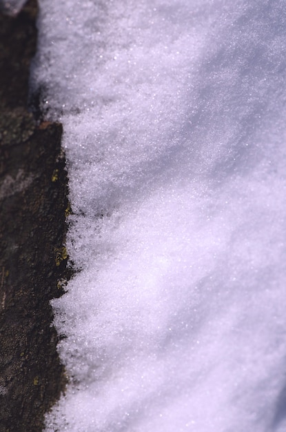 de neige fraîche. Texture de neige fraîche