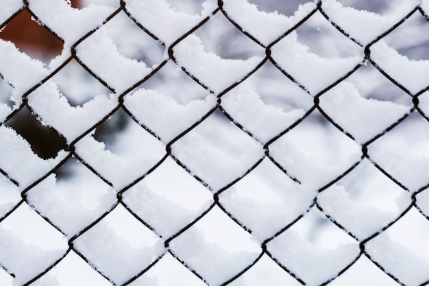 Neige sur la grille. Maille de fer recouverte de neige en hiver