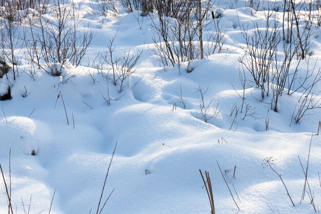 neige en hiver