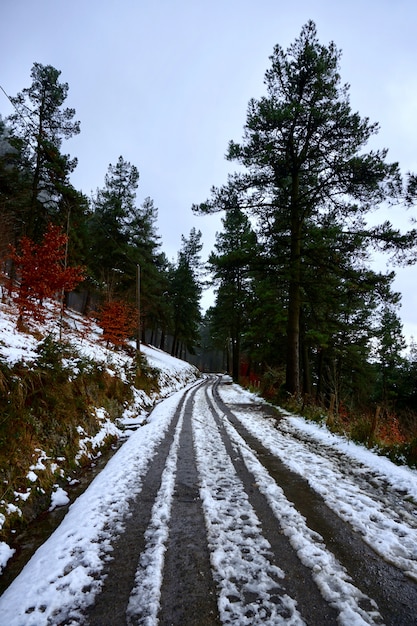 neige sur la montagne en hiver