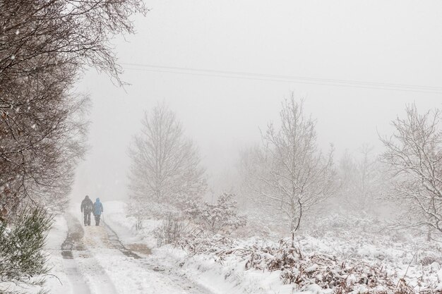 La neige recouvre les routes