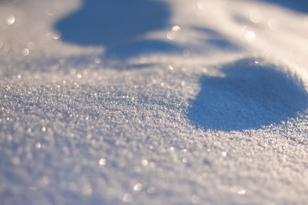 La neige scintille au soleil, le soir dans les bois.