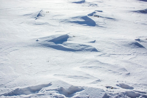 La neige et le vent combinés ont formé des vagues de neige en milieu agricole