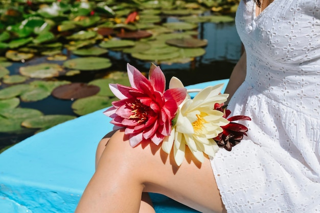 nénuphar dans le jardin