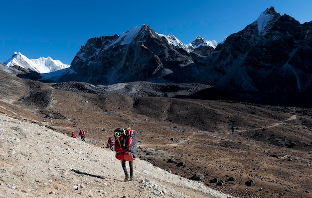 Népal, Himalaya, Khumbu, région de l'Everest, Cho la