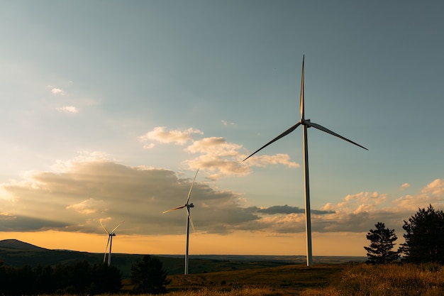 Énergie alternative. Parc éolien.