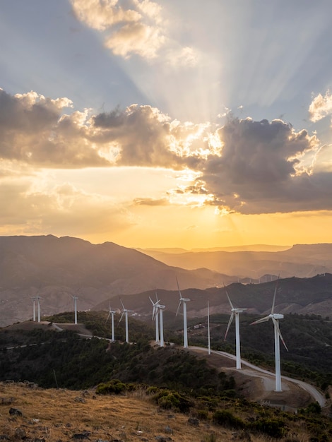 Énergie renouvelable avec éoliennes Image d'un chemin forestier traversant un parc éolien