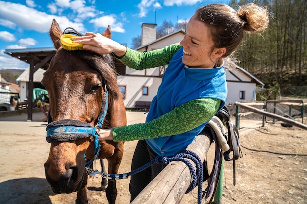 Nettoyage d'un cheval avec une brosse dans une ferme par une jeune femme