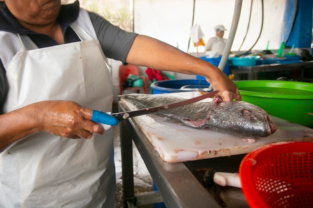 Nettoyage du poisson dans le port de Chorrios dans la ville de Lima au Pérou