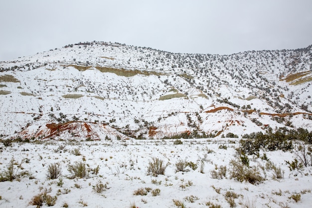 Nevada USA neige de printemps en montagne