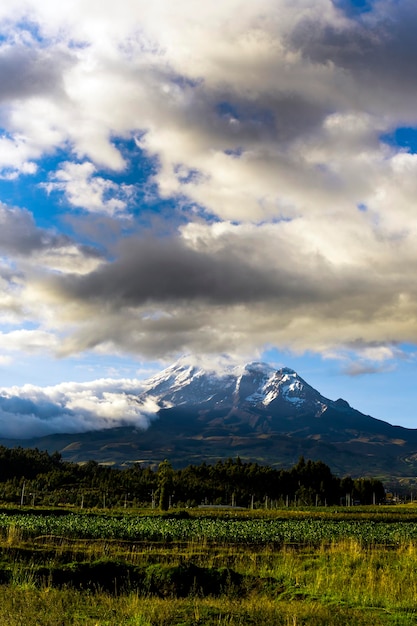 nevado chimborazo visto desde unos campos sembrados en san andres