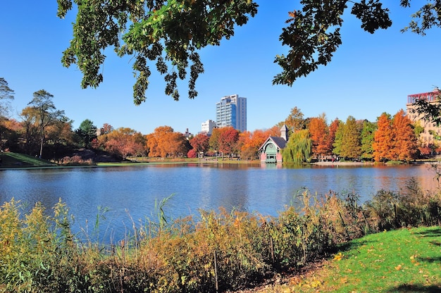 New York City Central Park Automne