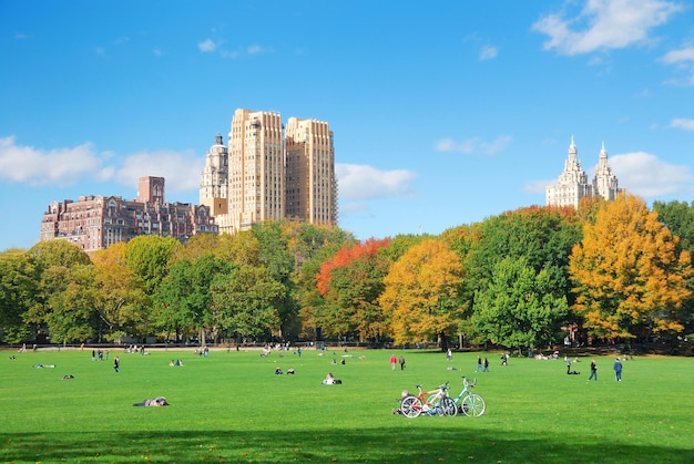 Photo new york city central park avec nuage et ciel bleu