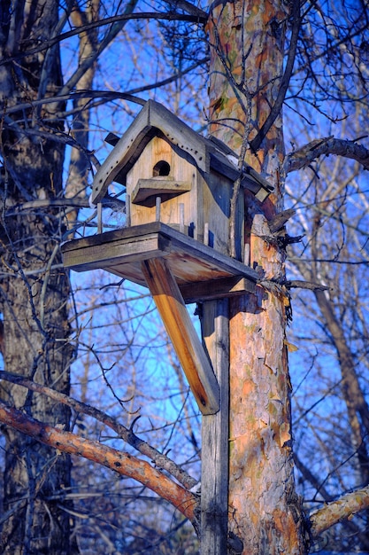 Nichoir sur un arbre, cabane dans les arbres.Nature, parcs et forêts.