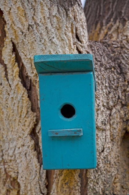 Nichoir bleu dans un arbre
