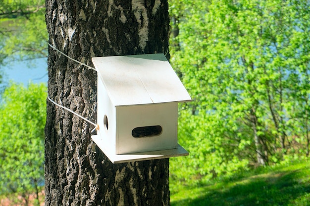 Nichoir en bois sur un arbre au printemps par temps clair.