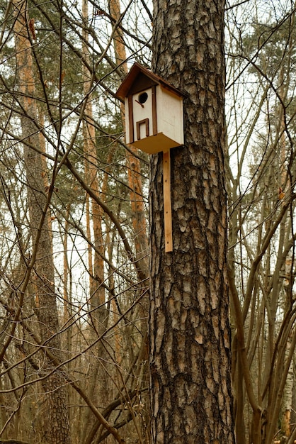 Le nichoir en bois est cloué à l'arbre dans la forêt d'automne