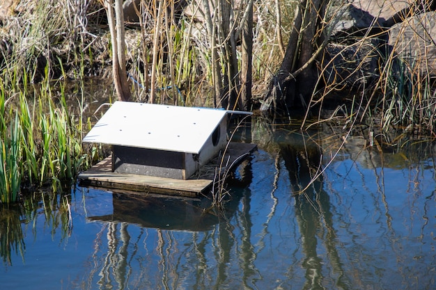 Nichoir en bois flottant fabriqué à la main pour les canards Abri de canard en bois dans l'eau du lac