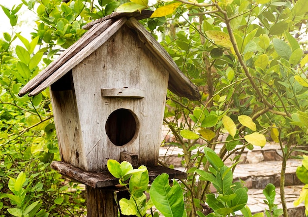 Nichoir en bois avec fond naturel