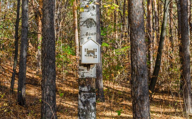 Un nichoir en bois avec un panneau indiquant "cerf" dessus