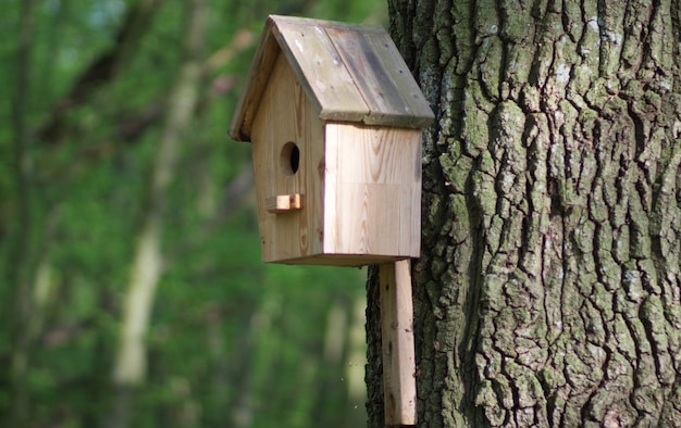 Un nichoir en bois pour oiseaux est suspendu à un arbre Gros plan du nichoir avec maquette