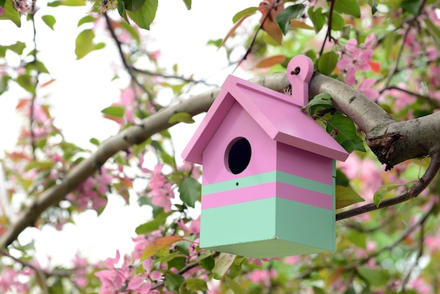 Nichoir dans le jardin à l'extérieur