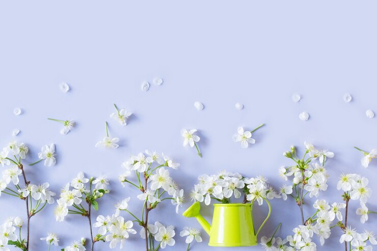 Photo nichoir de fleurs de cerisier de printemps sur fond bleu