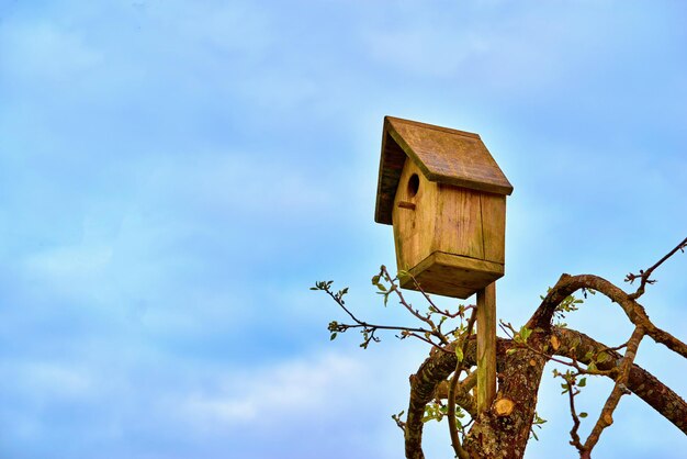 Un nichoir ou lodge en bois pour oiseaux sauvages en gros plan sur fond de ciel bleu