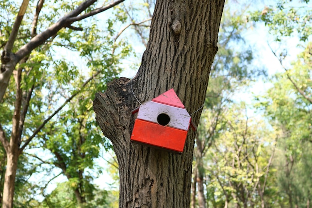 Nichoir pour oiseau dans le parc