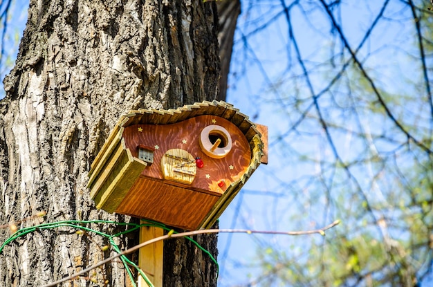 Photo nichoir pour oiseaux sur un tronc d'arbre.