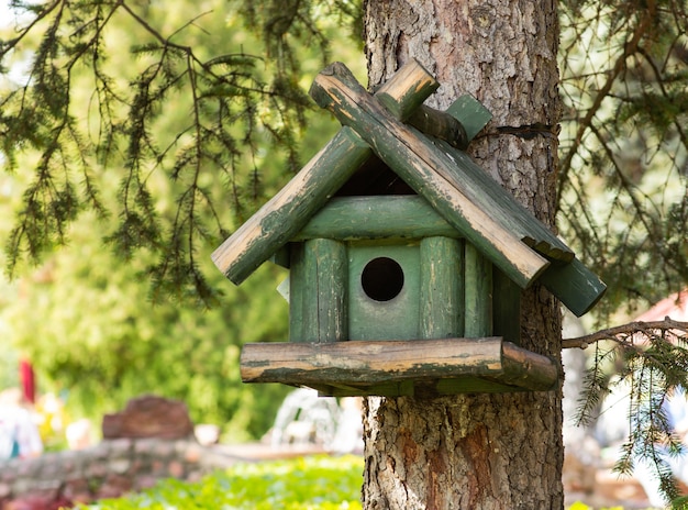 Un nichoir vert sur un arbre, le fond est flou