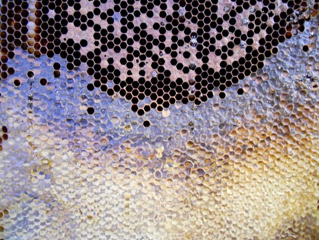 Photo nid d'abeille de cire de texture hexagonale de fond d'une ruche d'abeilles