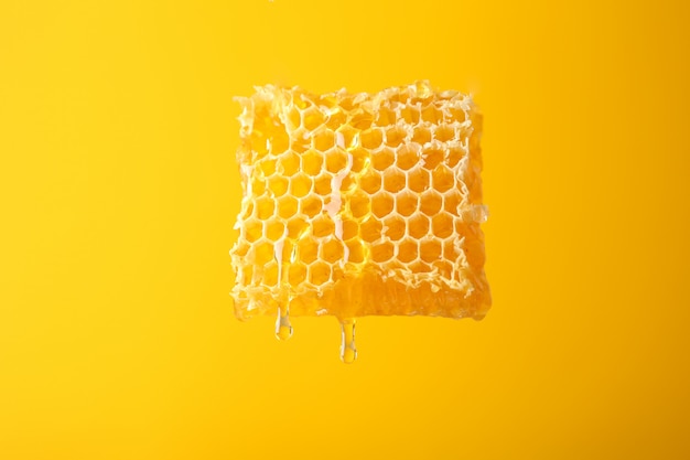 Nid d'abeille sur fond jaune, espace copie