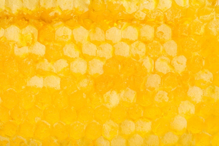 Photo nid d'abeille frais avec du miel