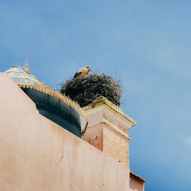 Nid géant de la famille des cigognes blanches avec petit bébé au sommet d'un toit en Algarve Portugal