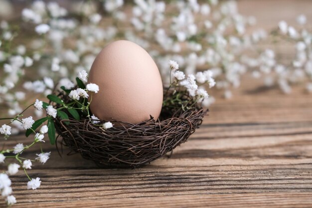 Nid avec un oeuf Décor de Pâques naturel et respectueux de l'environnement