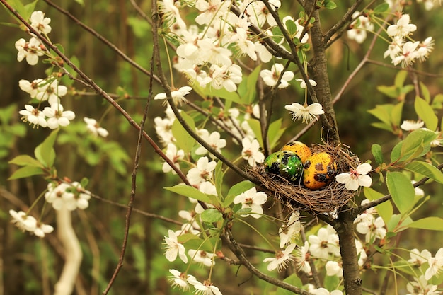 Nid avec des oeufs de Pâques sur un cerisier en fleurs mise au point sélective très douce