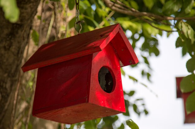 Nid d&#39;oiseau coloré sur l&#39;arbre