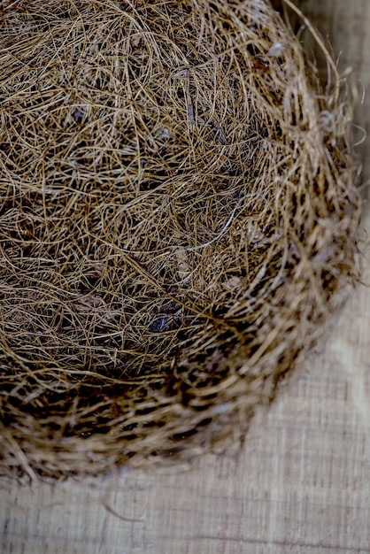 nid d'oiseau vide, fond en bois et texture